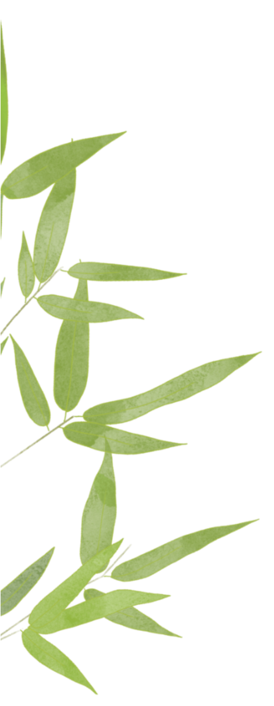 清明至，春意濃(圖4)